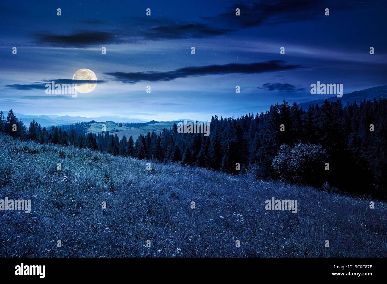 paysage de montagne avec forêt de sapins sur la colline en été la nuit. randonnée à travers de beaux paysages naturels de la campagne alpine en pleine lune. s Banque D'Images paysage de montagne avec forêt de sapins sur la colline en été la nuit. randonnée à travers de beaux paysages naturels de la campagne alpine en pleine lune. s Banque D'Images