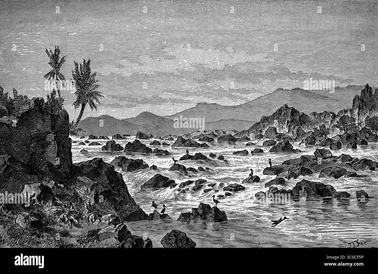 Cataractes du Haut Nil à Assouan, aujourd'hui site du barrage d'Assouan, Égypte, Afrique du Nord, illustration historique, 1896 Banque D'Images