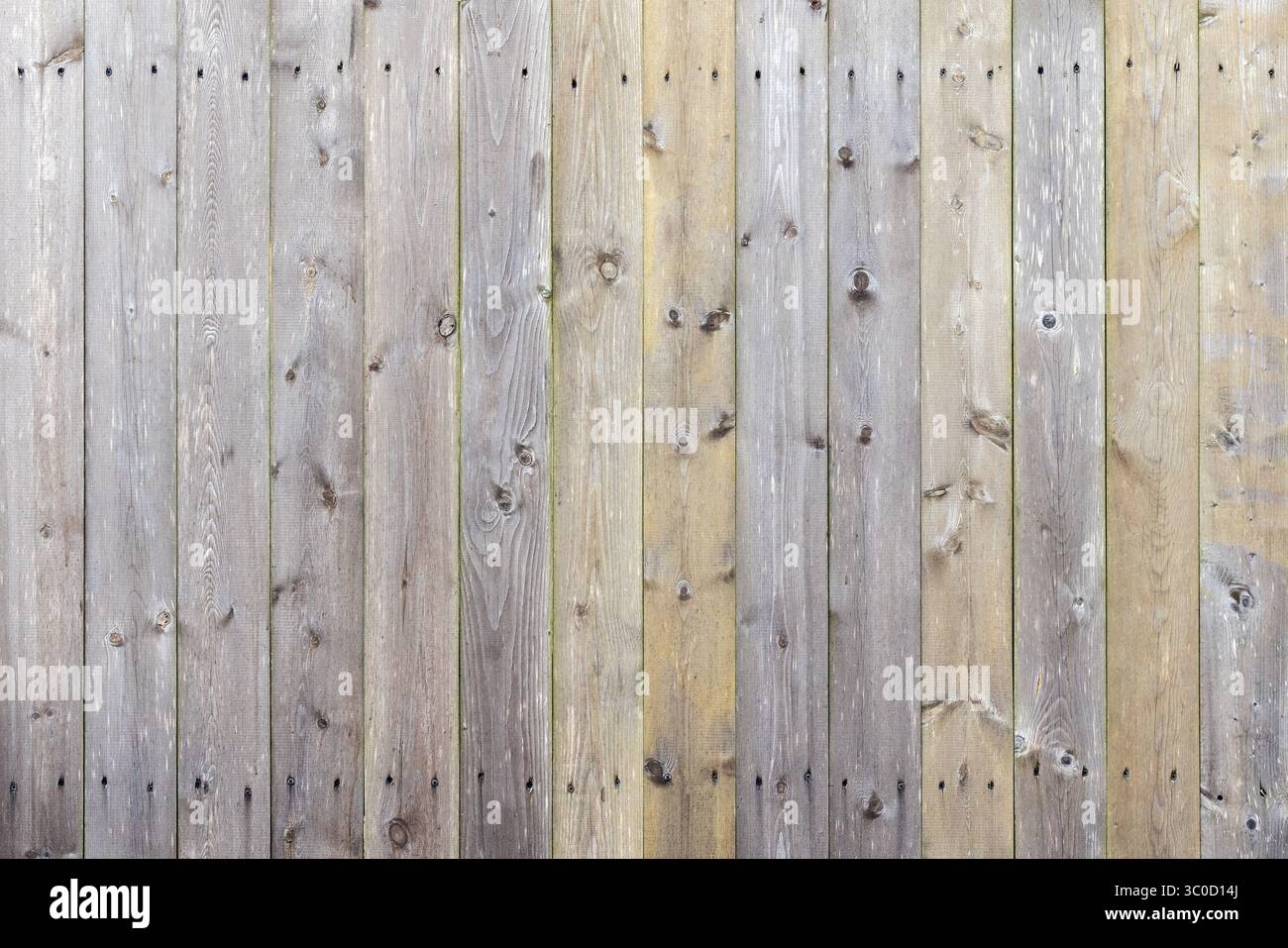 Planches en bois verticales créant une texture de clôture rustique. Le grain naturel du bois et les nœuds fournissent un motif abstrait simple mais captivant. Parfait fo Banque D'Images