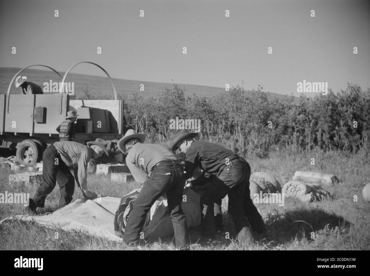 21 août 2018 - Montana, États-Unis - mise en place du camp Roundup, Quarter Circle U Ranch Roundup, Montana, États-Unis, Arthur Rothstein, Farm Security Administration, juin 1939 (crédit image : © JT Vintage/Glasshouse via ZUMA Wire) Banque D'Images