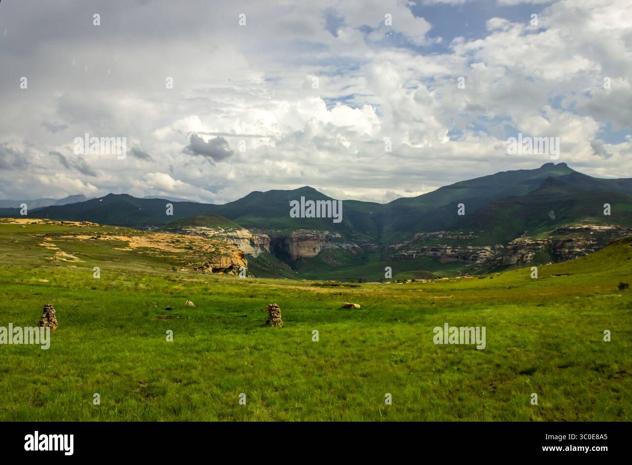 Vue depuis la cachette des oiseaux dans le Golden Gate Highlands National Park, avec les montagnes bleues lointaines de la chaîne de montagnes Drakensberg dans l'ombre Banque D'Images