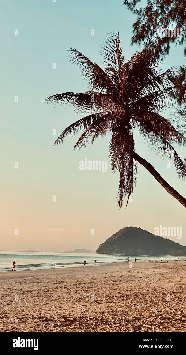 'Paradise Beach' Thaïlande, Un palmier penché encadre une plage tropicale paisible au coucher du soleil en Thaïlande Banque D'Images
