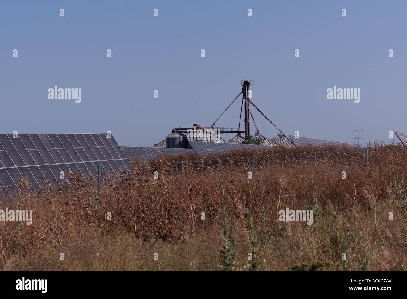 Panneaux solaires alimentant des silos agricoles, générant de l'électricité renouvelable au milieu des cultures de tournesol doré, soutenant un paysage agricole durable Banque D'Images