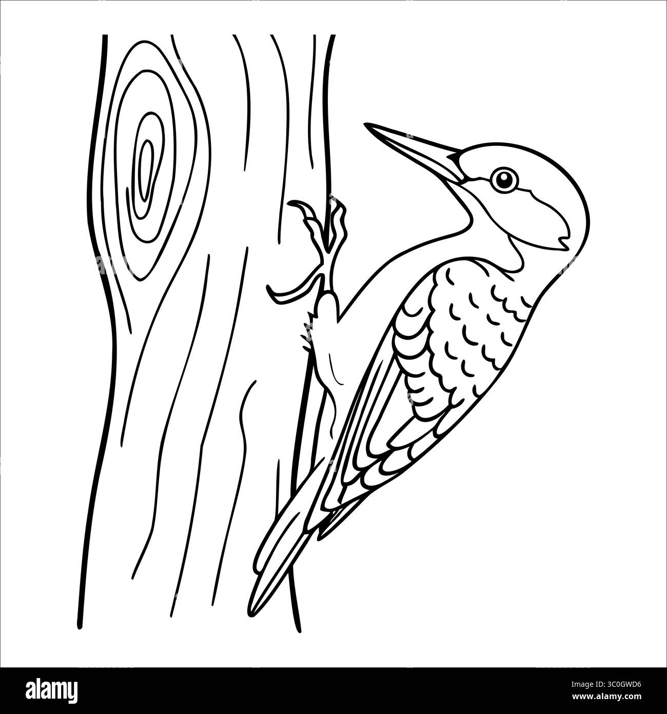 Un pic-bois s'accroche au tronc d'un arbre. L'oiseau a un corps à motifs distincts et un bec pointu, mettant en valeur son comportement naturel dans une forêt Illustration de Vecteur