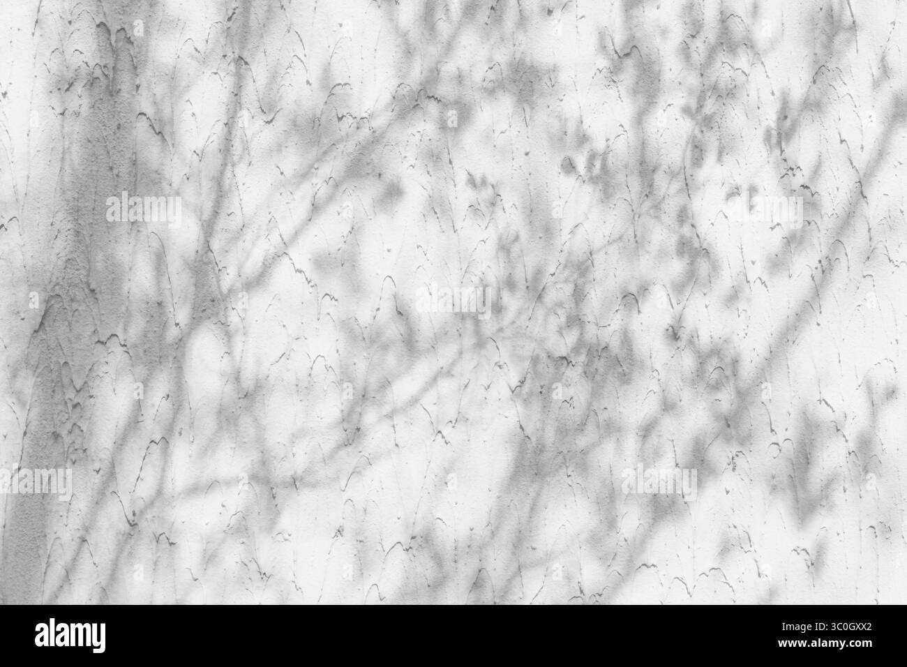 L'ombre du feuillage dense et des branches sur le mur, l'ombre sombre du feuillage dense et des branches sur le mur Banque D'Images