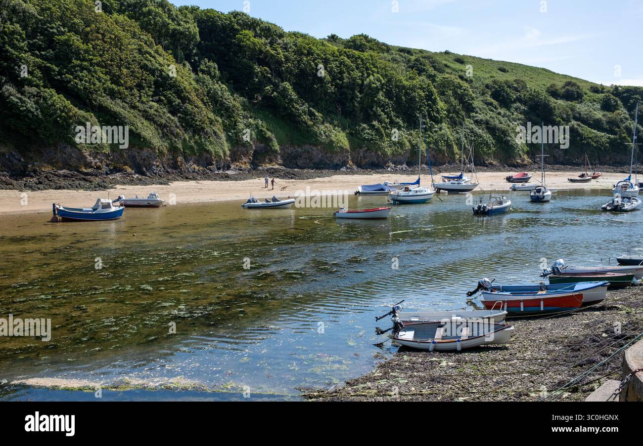 Marée basse à Solva Pembrokeshire West Wales UK Banque D'Images