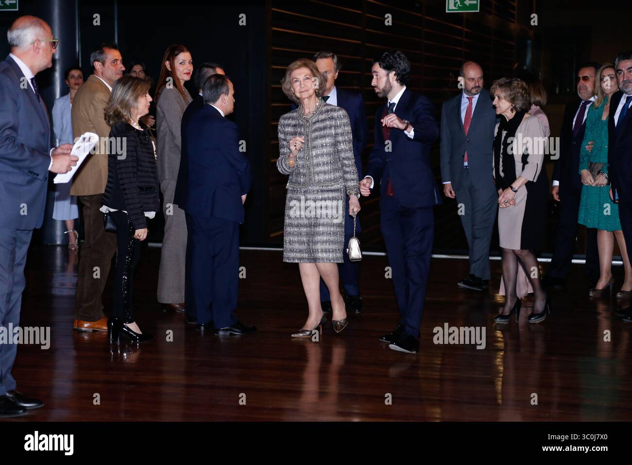 27 novembre 2018 - Madrid, Madrid, Espagne - la Reine Sofia d'Espagne reçoit le ''Premio Espacial Solidarios ONCE'' lors d'un événement célébré au Reina Sofia Art Musseum à Madrid, Espagne, le 29 novembre 2018. (Crédit image : © AFP7 via ZUMA Wire) Banque D'Images