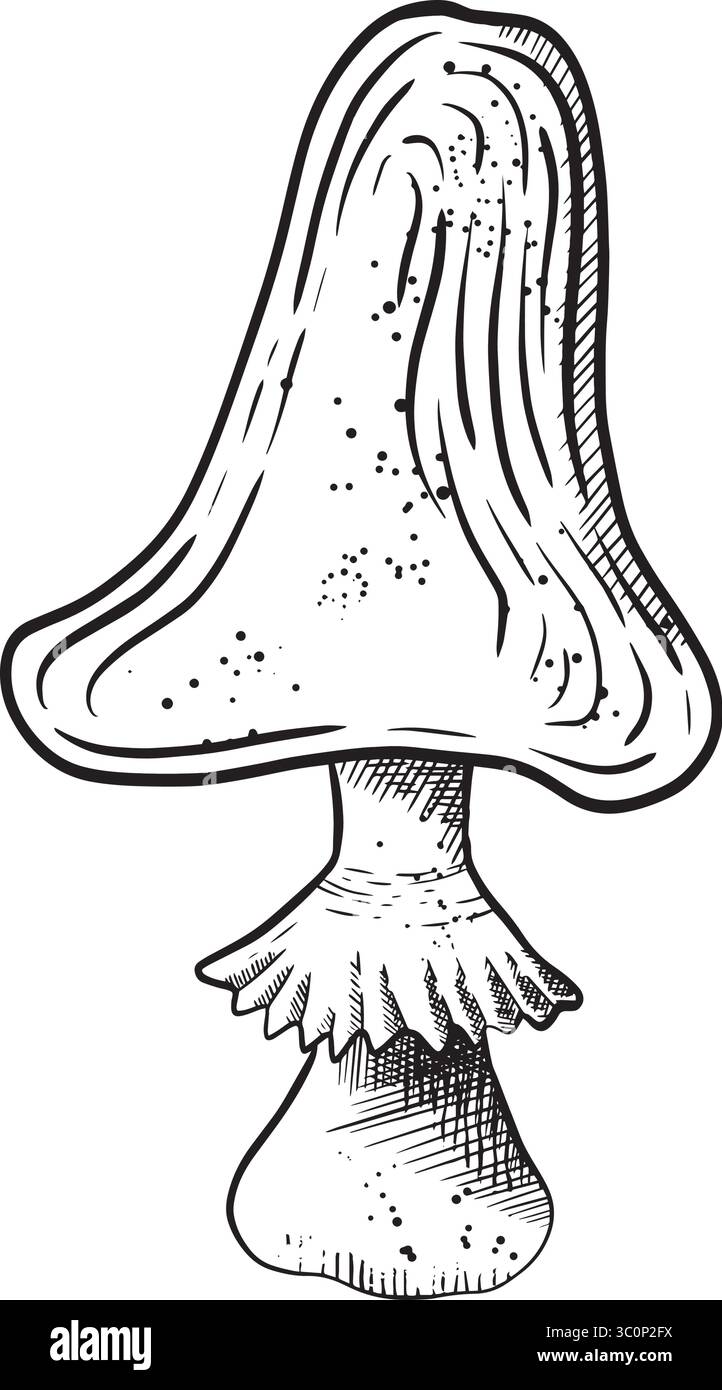 Une illustration magnifiquement détaillée et dessinée à la main d'un champignon qui met en valeur et met en valeur ses caractéristiques uniques. Graphiques vectoriels en noir et blanc dessinés à la main en dessin au trait Illustration de Vecteur