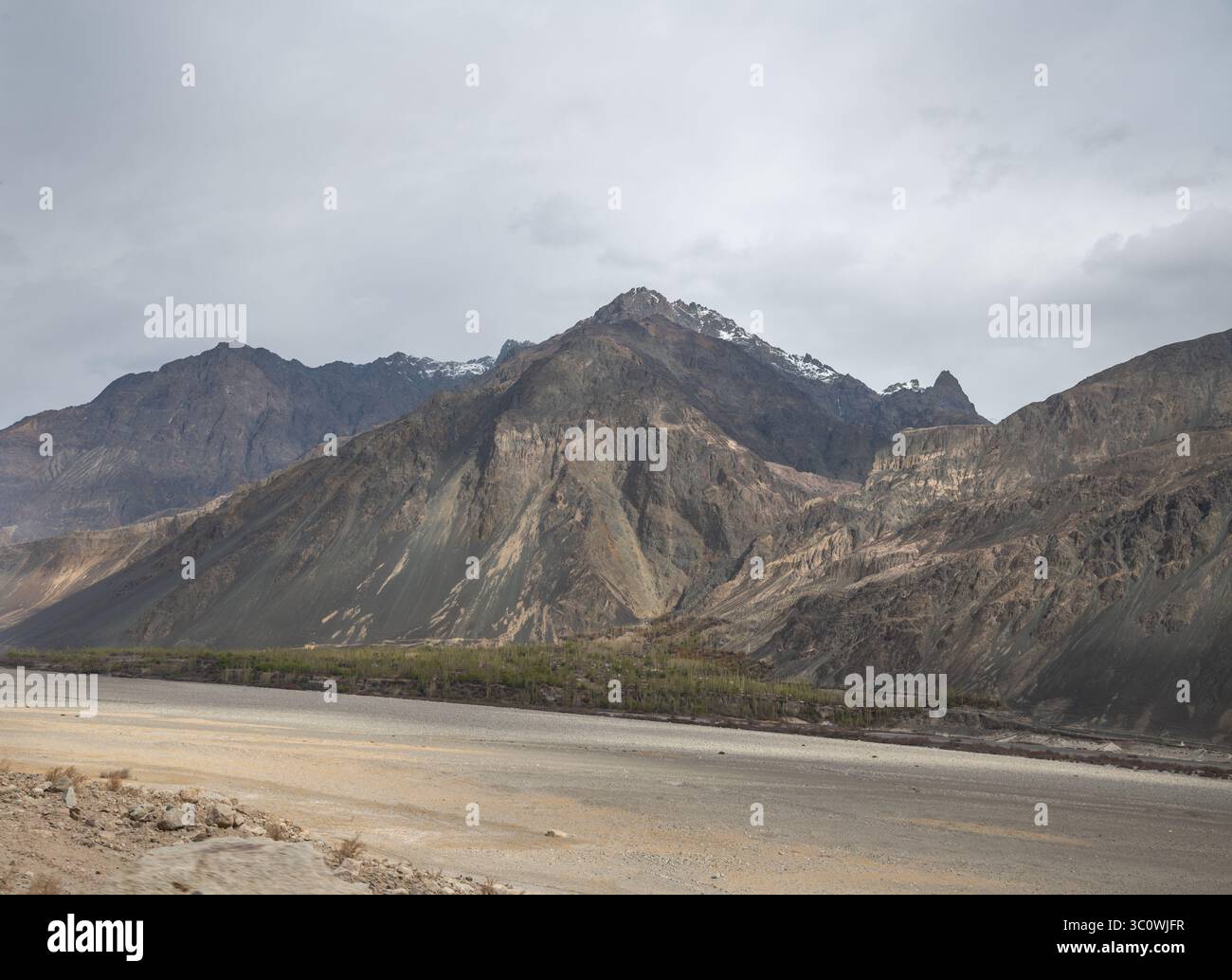Paysage himalayen majestueux avec des pics arides, une végétation de contreforts et la trajectoire asséchée de la rivière Shyok dans le Ladakh, en Inde. Banque D'Images