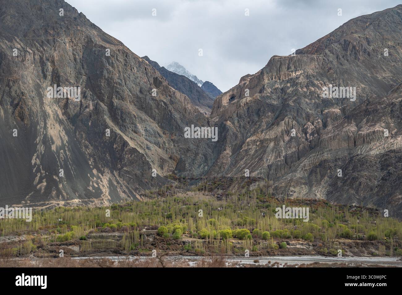 Paysage himalayen majestueux avec des pics arides, une végétation de contreforts et la trajectoire asséchée de la rivière Shyok dans le Ladakh, en Inde. Banque D'Images