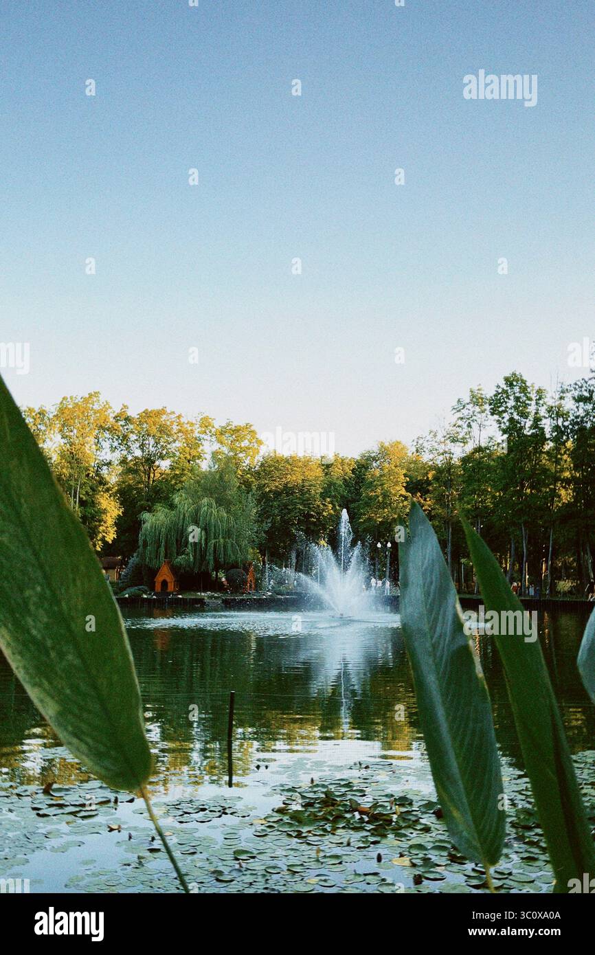 Fontaine du parc de la ville entourée d'arbres verdoyants, avec une eau d'étang calme reflétant le paysage estival. Nature urbaine et concept de loisirs. Banque D'Images