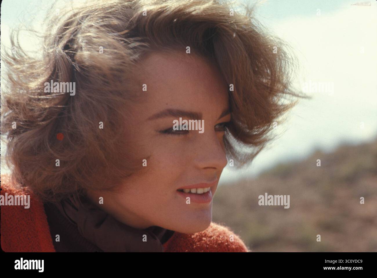 Années 1960 - date exacte inconnue - ROMY SCHNEIDER (23 septembre 1938 C 29 mai 1982) était une actrice de cinéma née à Vienne qui détenait la citoyenneté allemande et française. Elle a commencé sa carrière dans le genre Heimatfilm allemand au début des années 1950 à l'âge de 15 ans. De 1955 à 1957, elle incarne le personnage central de l'impératrice Élisabeth d'Autriche dans la trilogie autrichienne Sissi. Schneider a déménagé en France où elle a réalisé des films à succès et acclamés par la critique avec certains des réalisateurs les plus remarquables de cette époque.(Credit image : © Globe photos/ZUMAPRESS.com) Banque D'Images