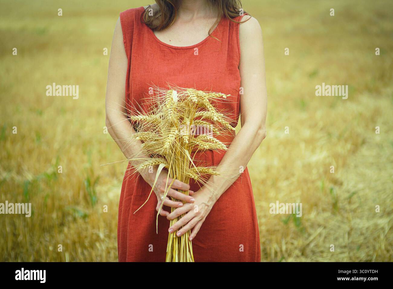 Récolte de campagne traditionnelle : femme en robe rouge de style folklorique tenant un bouquet de blé sec mûr dans un champ rural doré. Culture rurale Banque D'Images