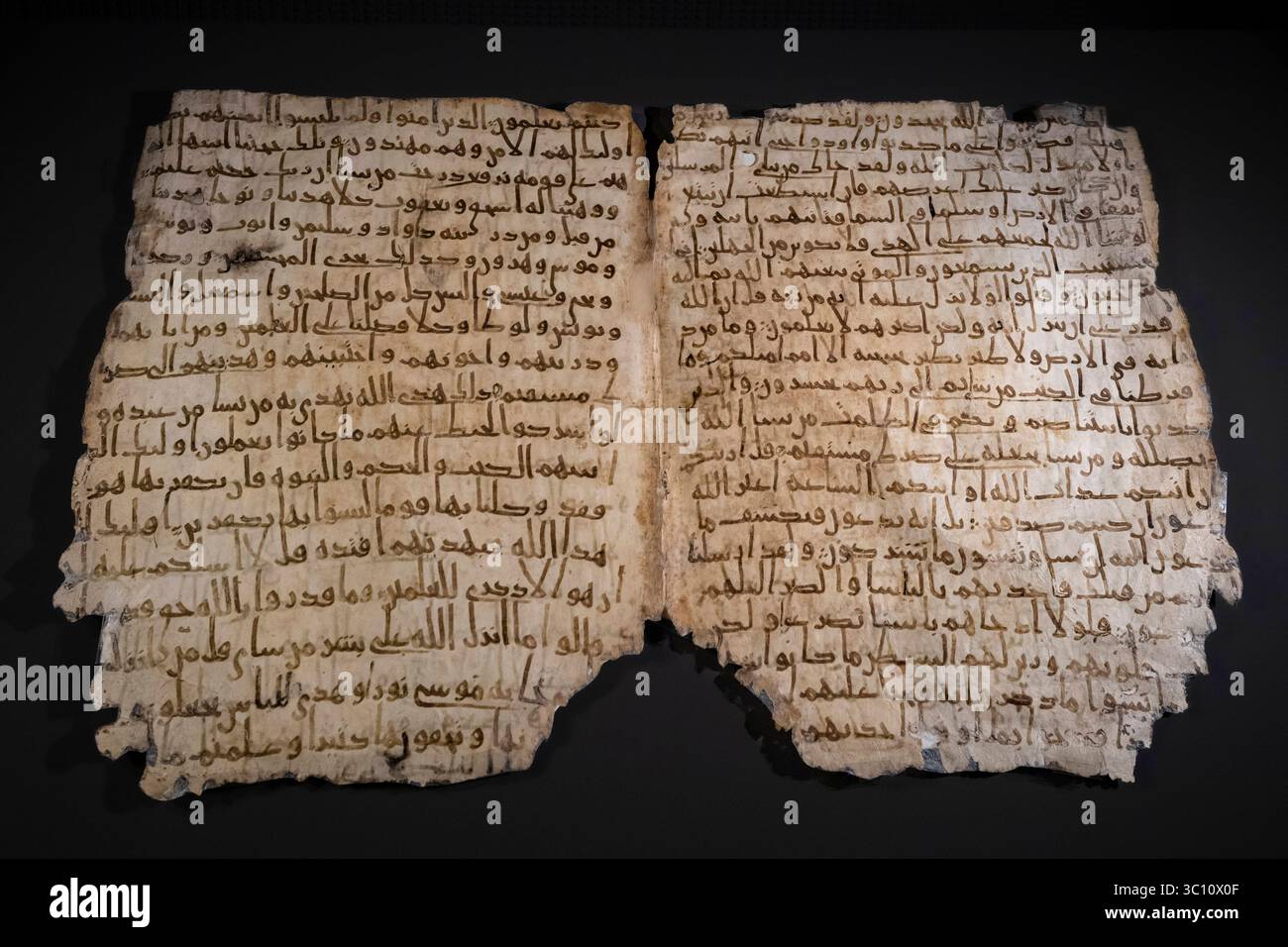 Bifolio, Doppelseite, sehr frühes Coran Manuskript, arabische Halbinsel, 1. jahrhundert, Museum für islamische Kunst, Doha, Katar, Orient, Vorderasien Banque D'Images