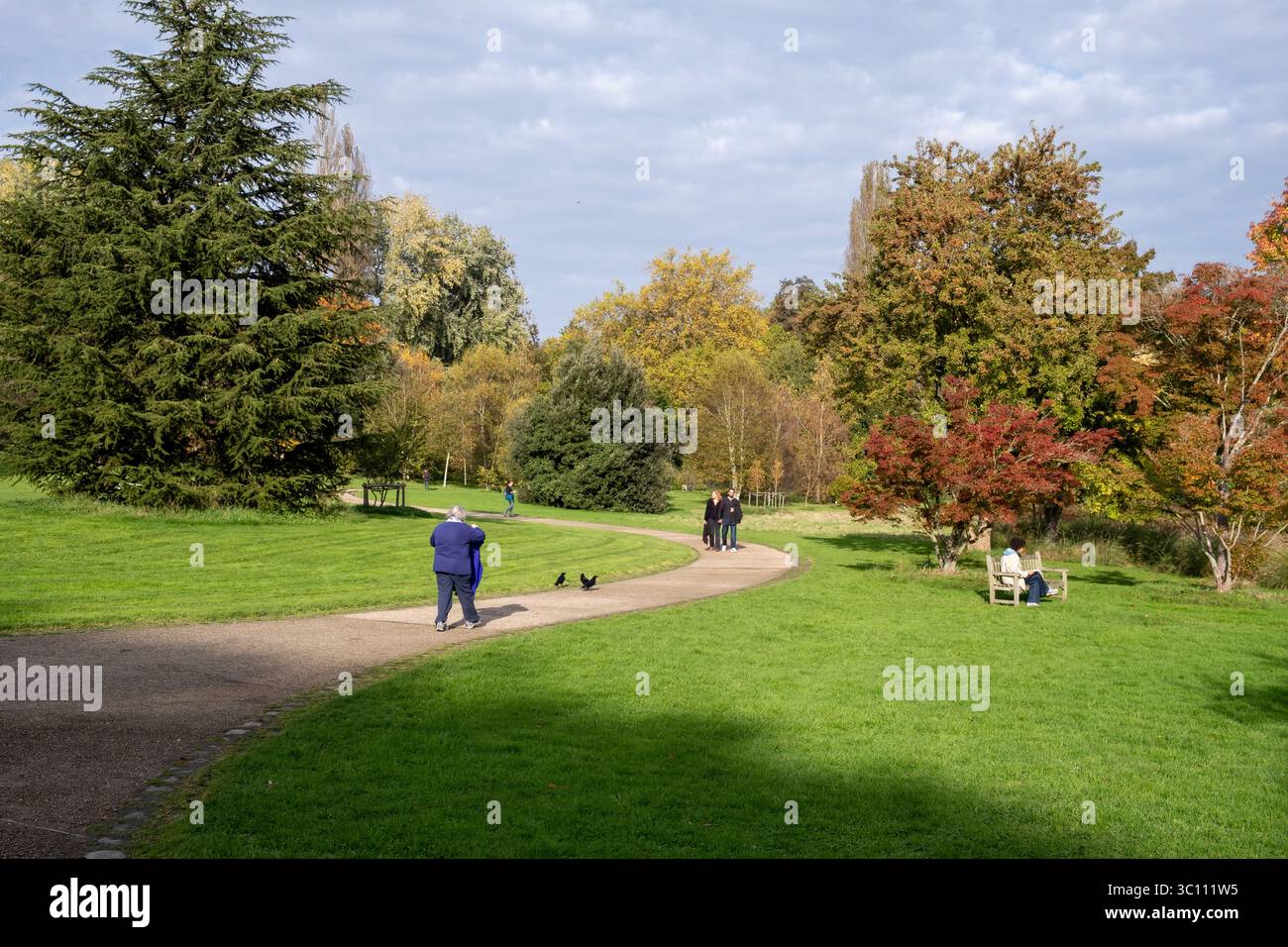 L'Arboretum de la Vallée-aux-loups à Chatenay-Malabry (région parisienne). Le jardin botanique en automne Banque D'Images