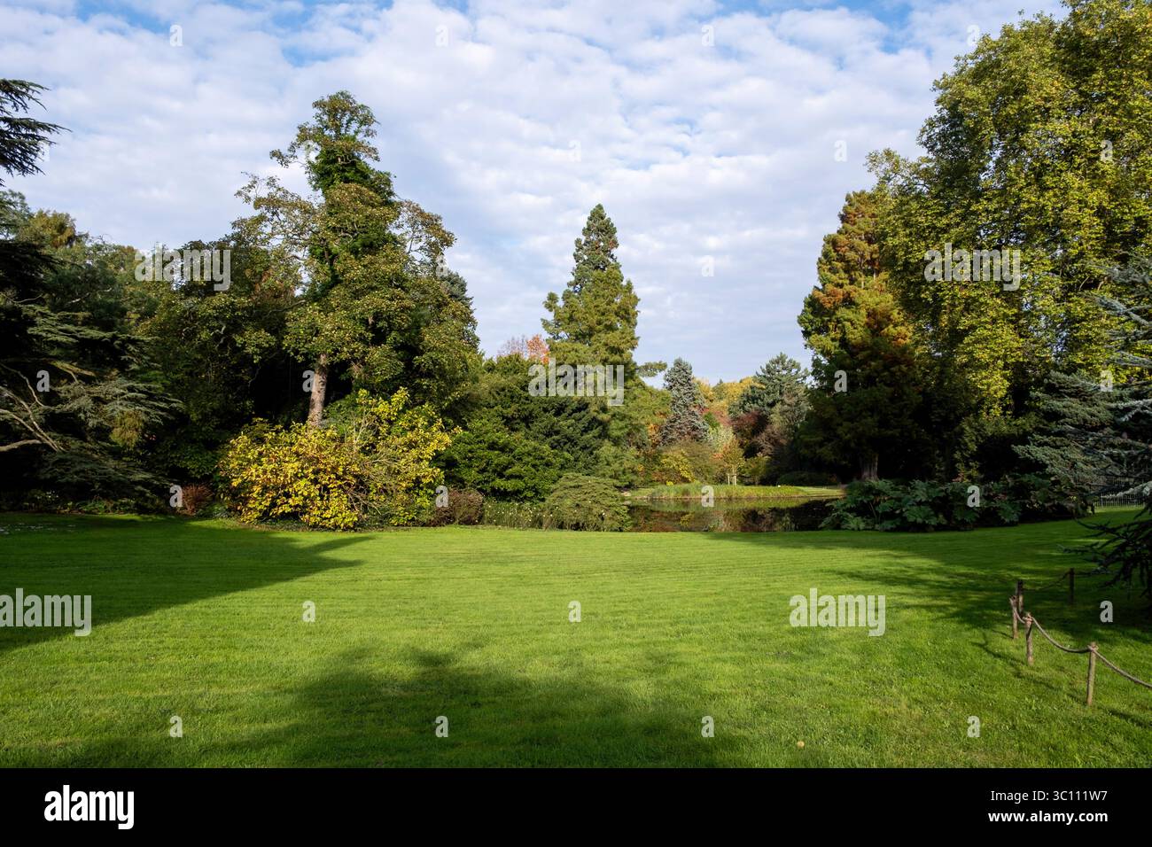 L'Arboretum de la Vallée-aux-loups à Chatenay-Malabry (région parisienne). Le jardin botanique en automne Banque D'Images
