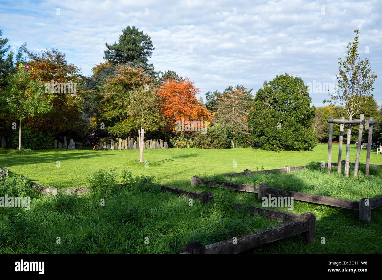 L'Arboretum de la Vallée-aux-loups à Chatenay-Malabry (région parisienne). Le jardin botanique en automne Banque D'Images