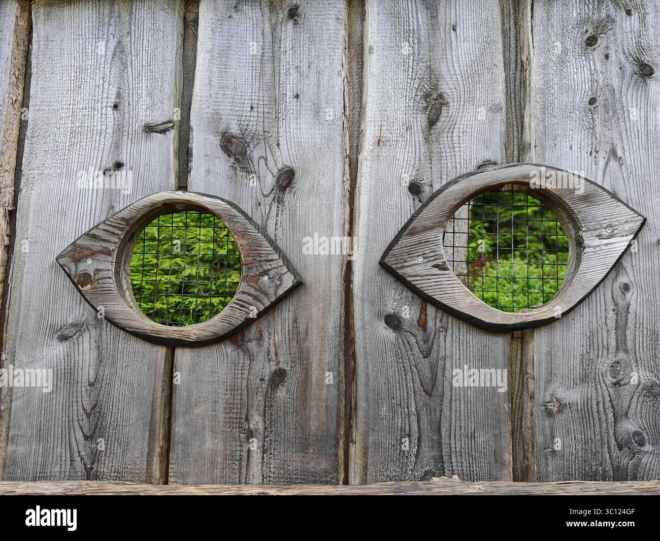 l'oeil humain, l'organe sensoriel pour l'oeil de perception visuelle,organe pour la perception visuelle Banque D'Images