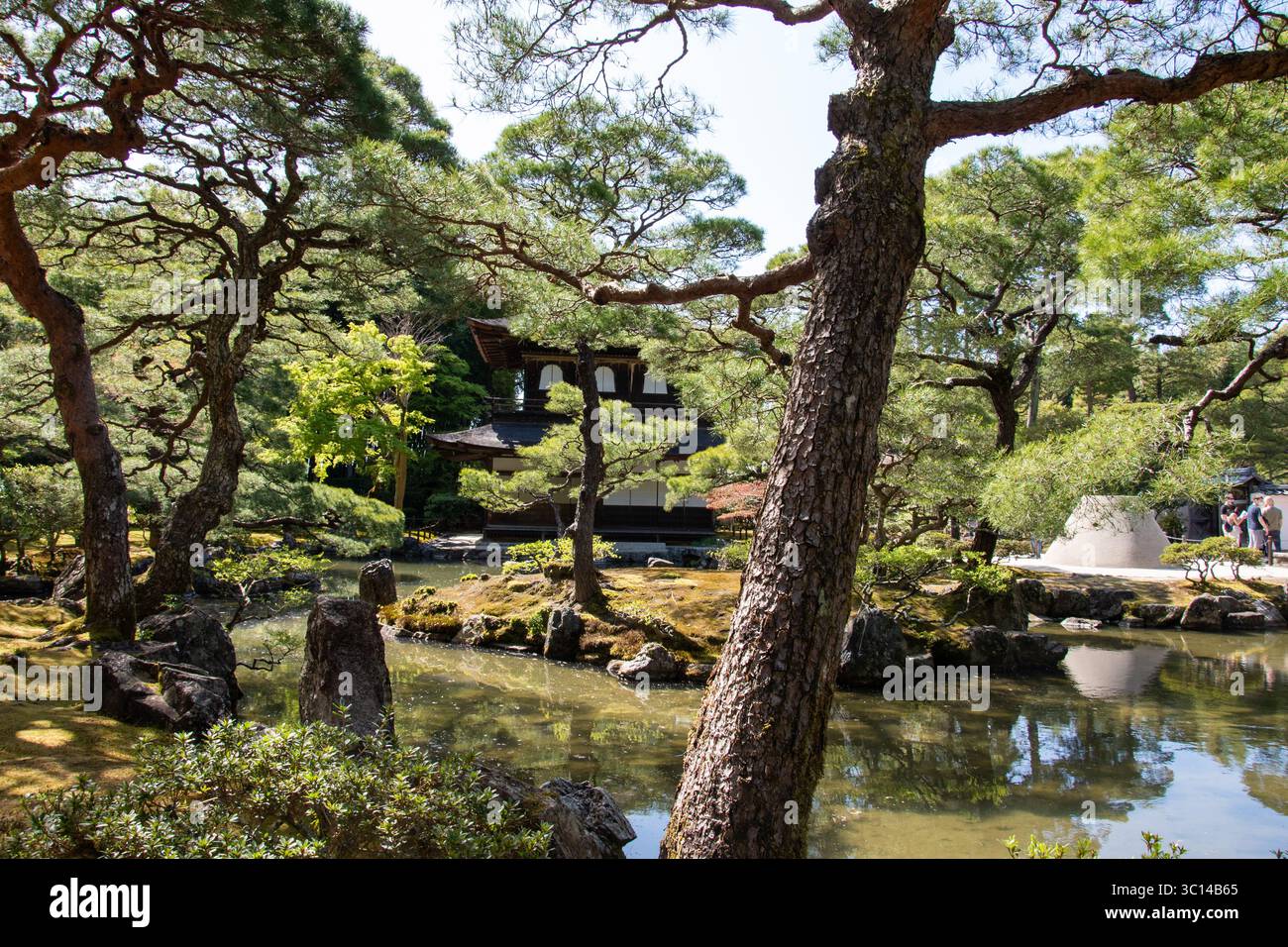 Kyoto Japon temples sakura cerisiers parcs personnes fleurs d'argent statues jardins de sable Pavillon d'argent - Ginkakuji Higashiyama Jisho-ji Banque D'Images