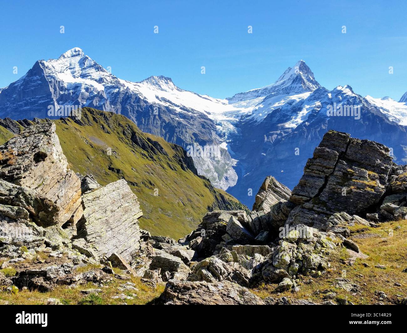 Paysage de montagne d'automne doré avec des formations rocheuses et des pics enneigés sur la première à Grindelwald Banque D'Images