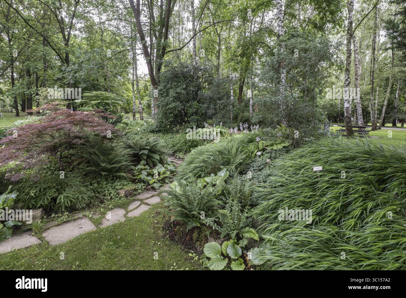 Jardin Karl Foerster, jardins du monde, Berlin, Allemagne Banque D'Images