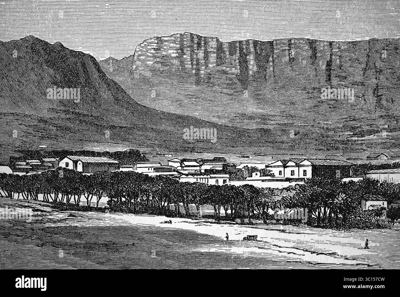 Le Cap avec table Mountain, Mesa, grès, grès quartzitique table Mountain, escarpement, géologie, règlement, groupe d'arbres, landsca de montagne Banque D'Images