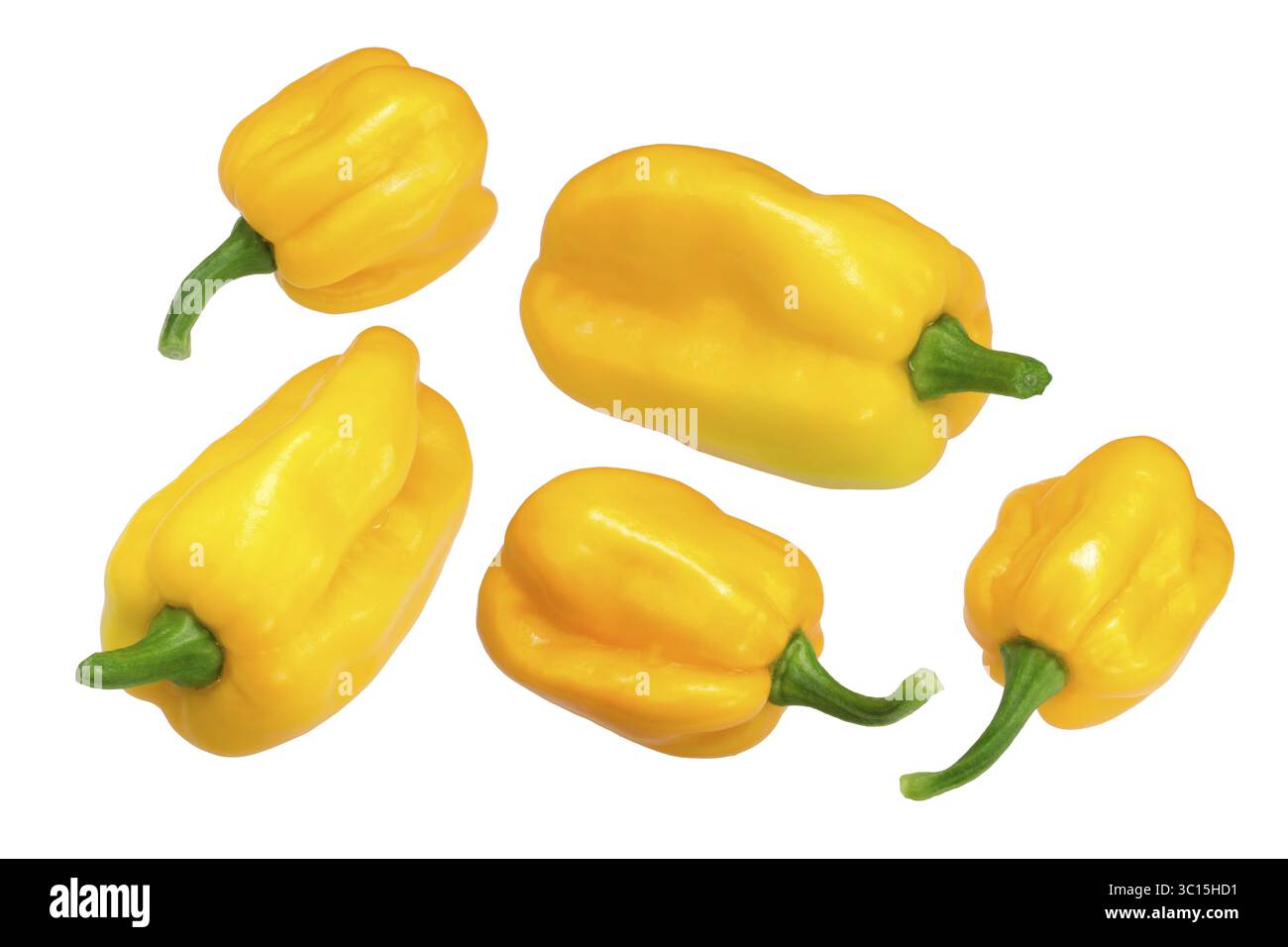 Akokosrade Mako piment (Capsicum chinense) Banque D'Images