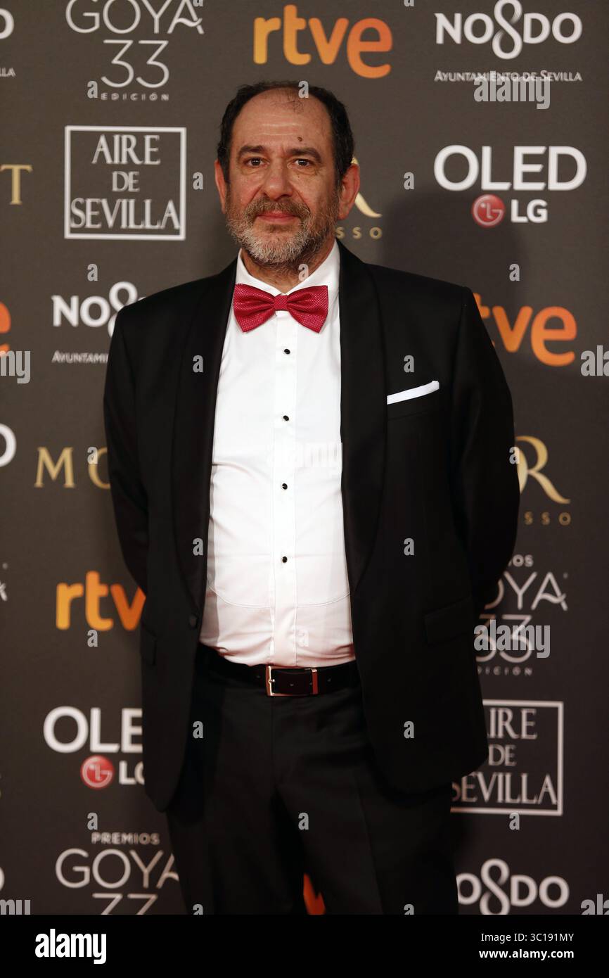 2 février 2019 - Sevilla, Andalousie, Espagne - Karra Elejalde participe aux Goya Cinema Awards 2019 au Centre de conférences et d'expositions FIBES. (Crédit image : © Manu Reino/SOPA images via ZUMA Wire) Banque D'Images