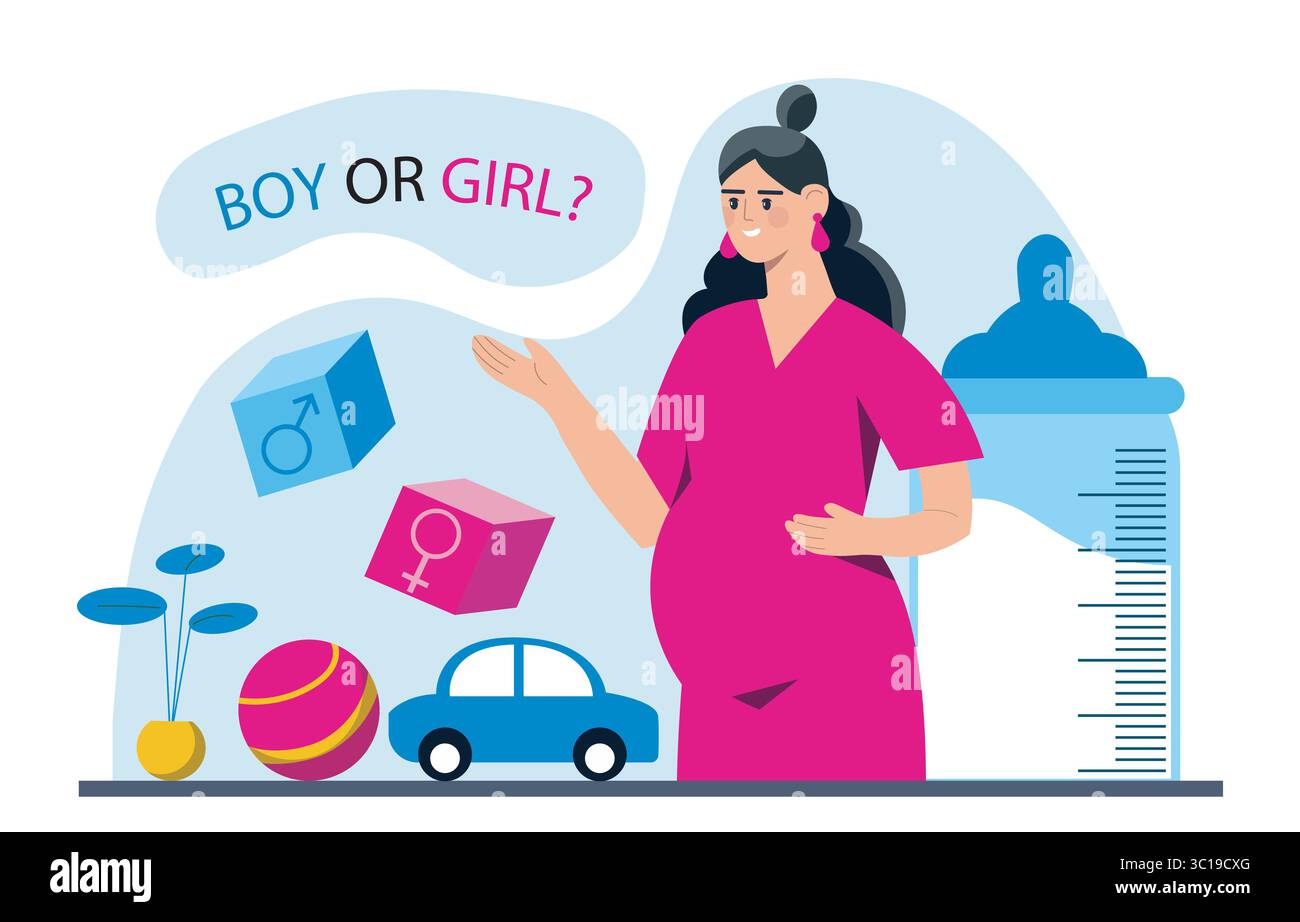 Femme enceinte avec le sexe révéler des blocs. Illustration vectorielle Illustration de Vecteur