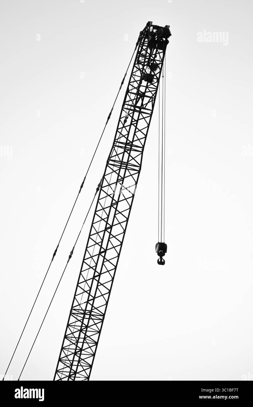 Silhouette d'une grue solitaire. Banque D'Images