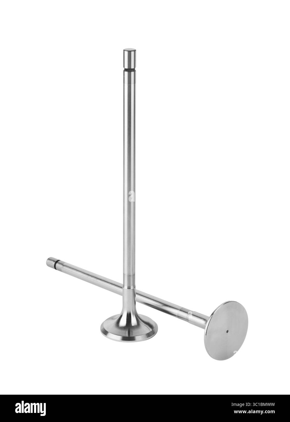 Soupapes du moteur isolées sur fond blanc Banque D'Images