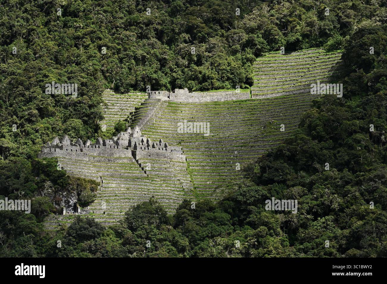 Ruines inca de Winay Wayna sur la piste inca jusqu'au Machu Picchu. Cusco, Pérou Banque D'Images