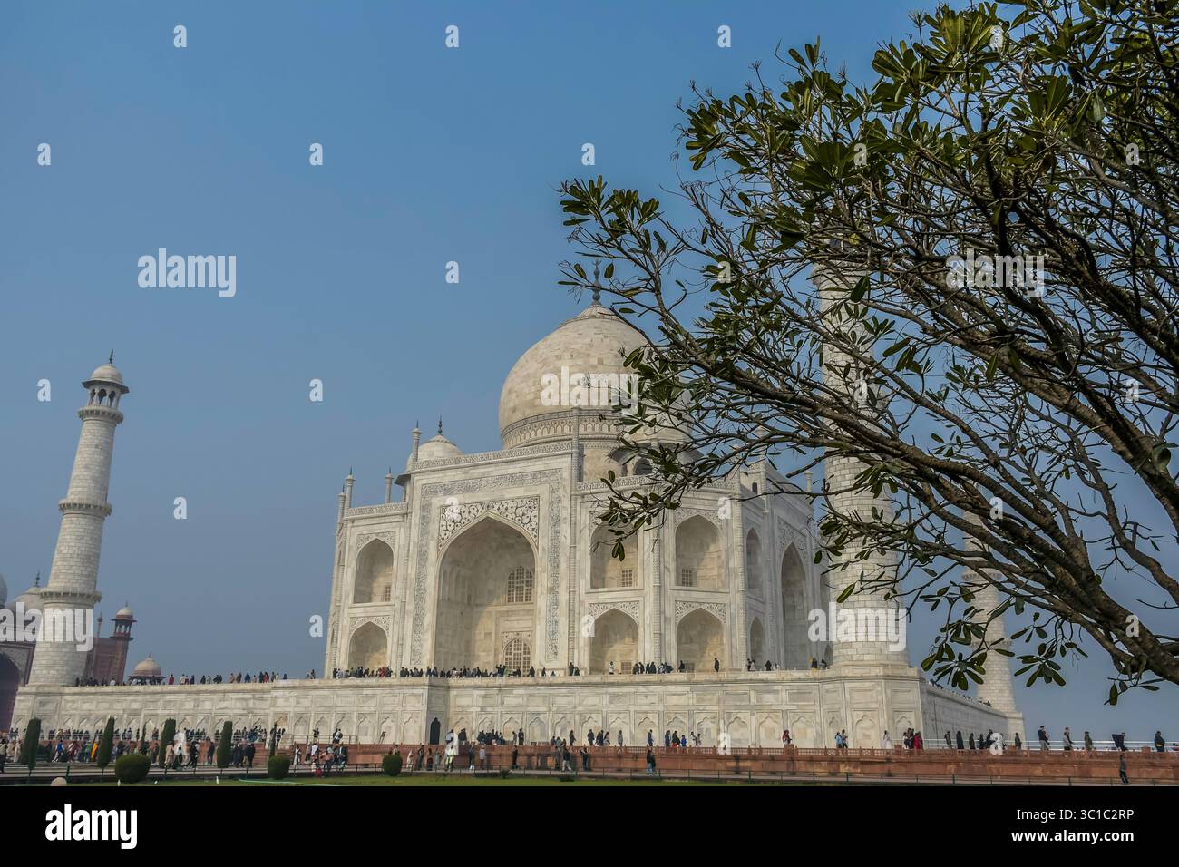 Taj Mahal à Agra Uttar Pradesh est une attraction touristique de l'Inde et est un mausolée de l'amour fait par Shah Jahan Banque D'Images