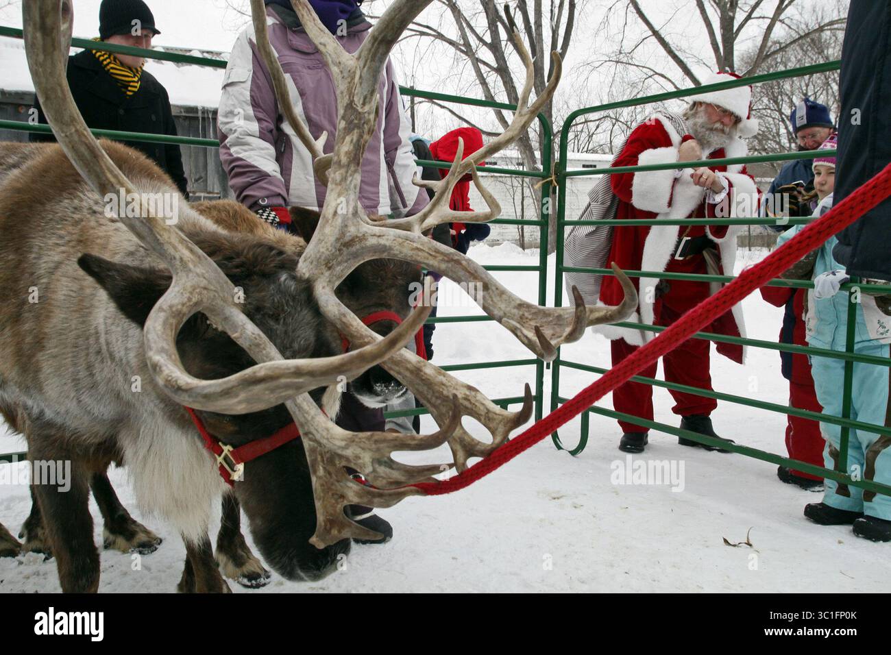 Dec. 18, 2010 - Shakopee, MN, États-Unis - MARLIN INFORMATIONS GÉNÉRALES : Folkways of the Holidays - traditions de vacances du 19ème siècle étaient exposées au débarquement à Shakopee. Des promenades en tramway tirées par des chevaux de trait Percheron, des interprètes constumés, de l'artisanat, de l'art folklorique, de la musique et de la danse ainsi qu'une apparition du Père Noël ont tous fait partie de la présentation. SUR CETTE PHOTO : Père Noël était sur place pour vérifier et montrer ses rennes donner et Blitzen pour les personnes présentes. (Crédit image : Marlin Levison/Minneapolis Star Tribune/TNS via ZUMA Wire) Banque D'Images