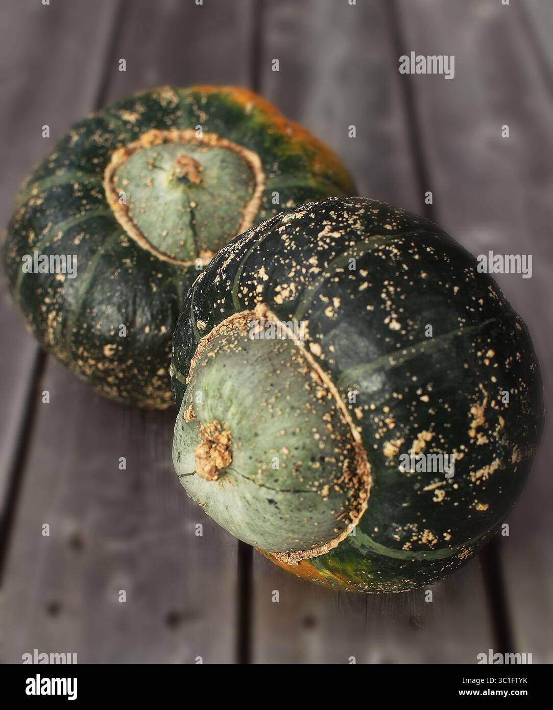 Oct. 3, 2012 - Minneapolis, États-Unis - Turban Squash    L'illustration de squash d'hiver. Les courges d'hiver ont des coquilles épaisses et résistantes qui protègent la chair à l'intérieur, ce qui en fait d'excellents légumes de conservation. [ TOM WALLACE å '   affectations #20025658A  3 octobre 2012  SLUG : squash10xx  INFORMATIONS SUPPLÉMENTAIRES : (crédit image : Minneapolis Star Tribune/TNS via ZUMA Wire) Banque D'Images