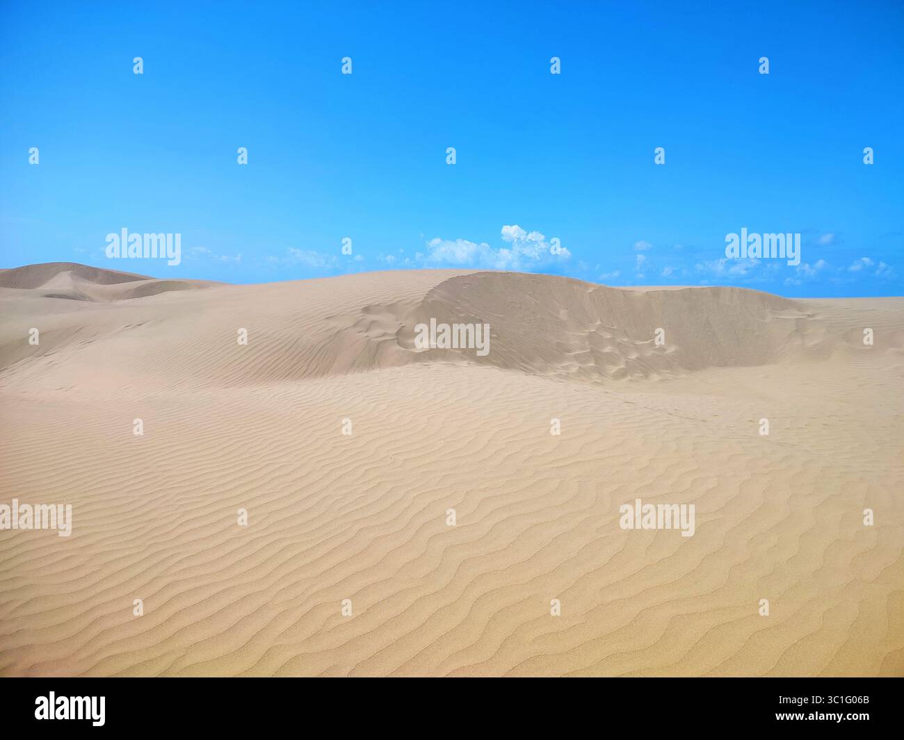 Dunes de sable doré sous un ciel bleu clair, présentant des motifs ondulés façonnés par le vent dans un vaste paysage désertique. - Image de stock capturée avec un smartphone