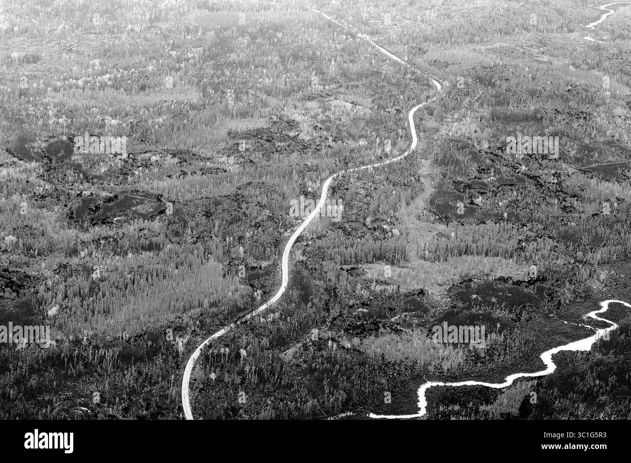 16 mai 2007 - Grand Marais, MN, États-Unis - Gunflint Trail, MN - 16 mai 2007 POUR SUNDAY FIRE/BUSINESS STORY le feu de Ham Lake a laissé une mosaïque de forêt brûlée dans son sillage, comme ici le long de la partie nord du Gunflint Trail, c'est une combinaison de forêt brûlée, verte et soufflée. Comme la forêt, les entreprises le long du sentier devront s’adapter à l’environnement modifié. (Crédit image : Brian Peterson/Minneapolis Star Tribune/TNS via ZUMA Wire) Banque D'Images