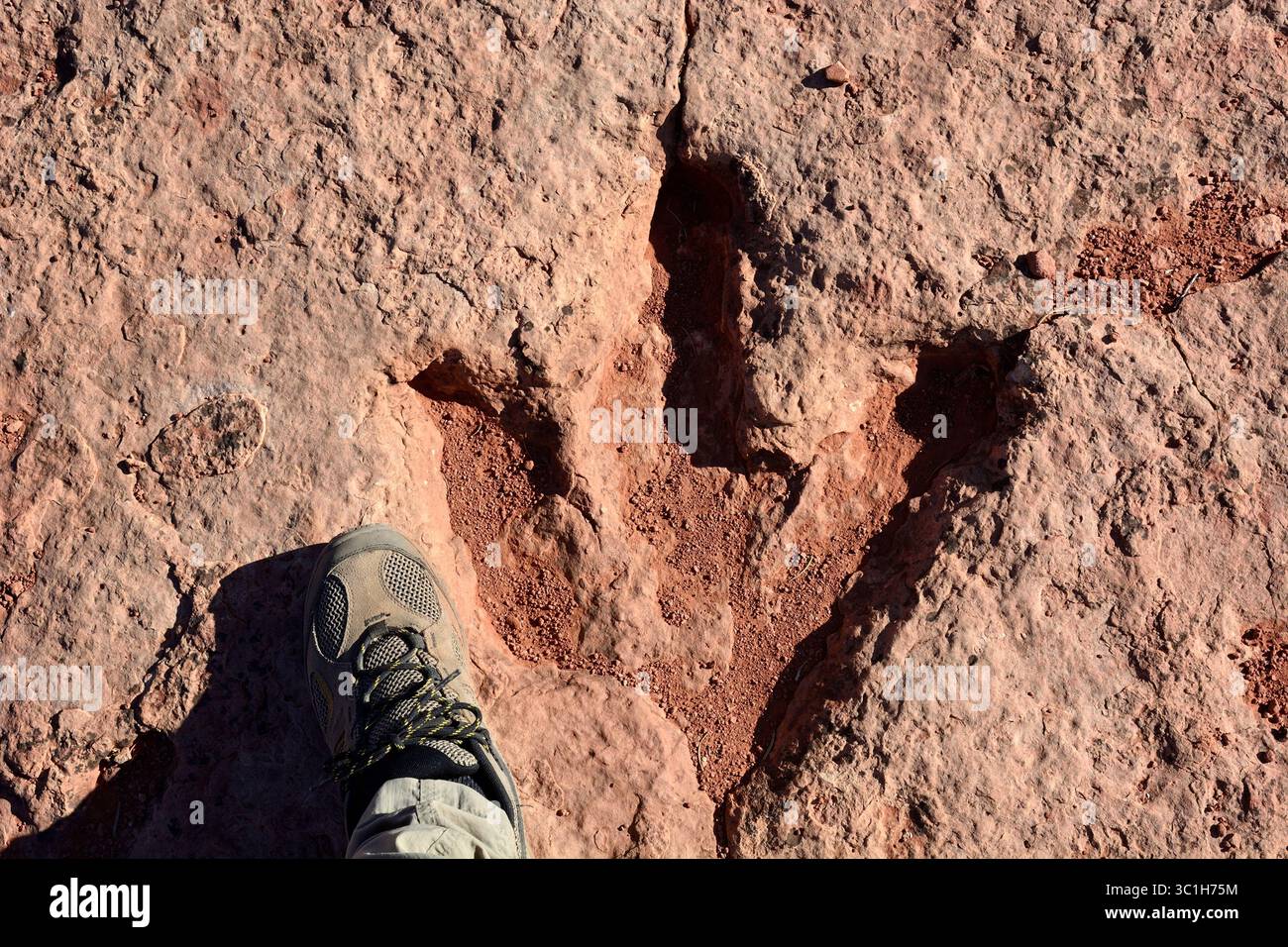 Flag point Dinosaur Track site, Utah États-Unis Banque D'Images
