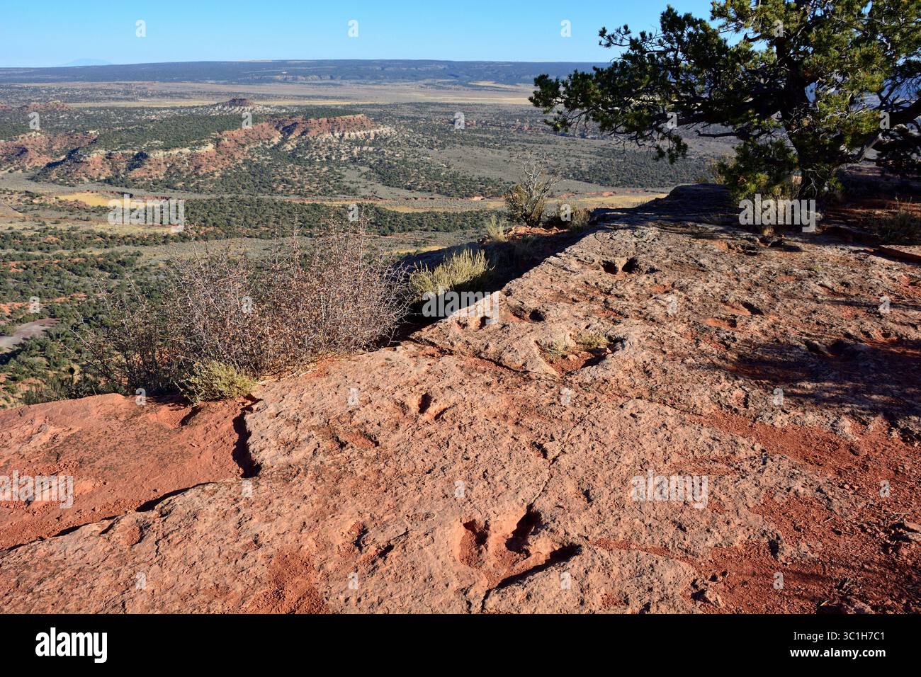 Flag point Dinosaur Track site, Utah États-Unis Banque D'Images