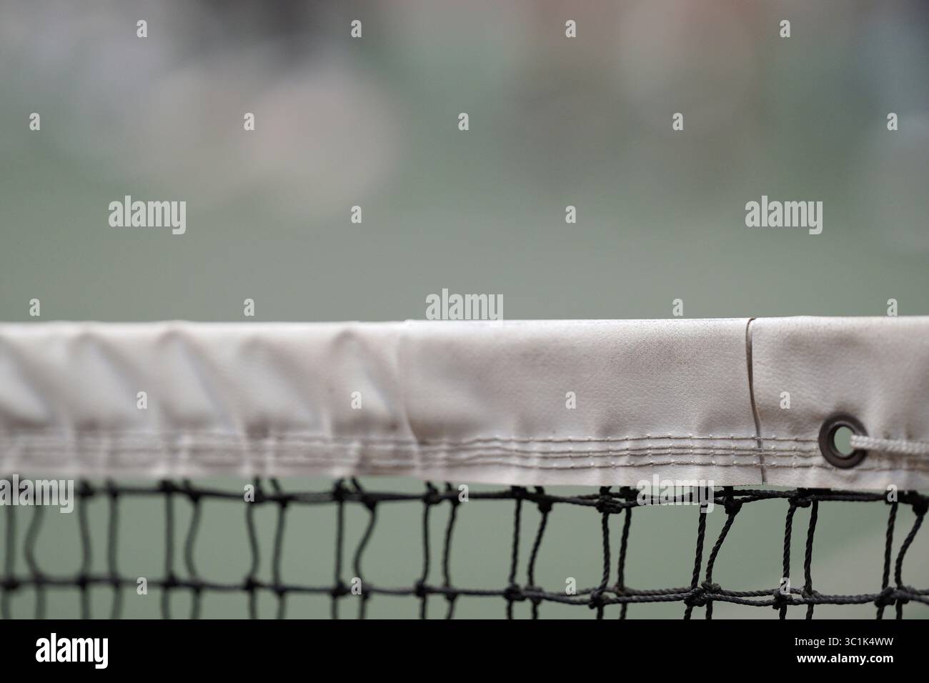 Gros plan d'un filet de tennis blanc sur un fond de court vert flou. Prise de vue détaillée pour les concepts sportifs, de compétition ou de loisirs avec espace de copie. Banque D'Images