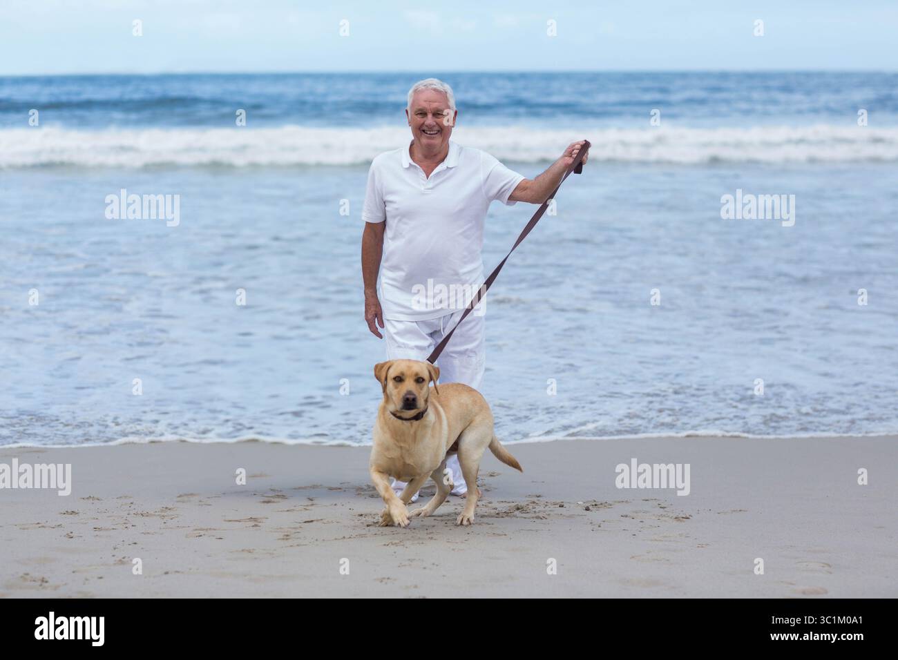 Homme âgé tenant une laisse brune et se tenant à la cheville au bord de l'océan avec Labrador retriever Banque D'Images