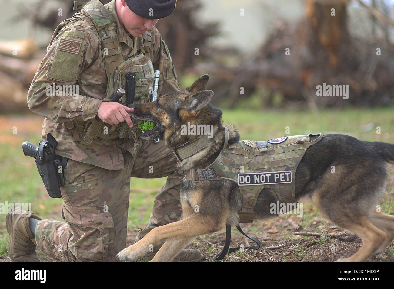21 février 2019 - base aérienne de Tyndall, Floride, États-Unis - Sgt Matthew Gluyas, 99th Security Forces Squadron, Nellis Air Force base, Nev., maître-chien de travail militaire, joue avec Alfi, 99th SFS chien de travail militaire, à la base aérienne de Tyndall, Fla., 21 février 2019. Gluyas et Alfi sont en mission temporaire à Tyndall pour aider à la reconstruction de l'installation. La base a été frappée par l'ouragan de catégorie 4 Oct. 10, 2018, causant d'importants dommages structurels à l'infrastructure de la base. (Crédit image : © U.S. Air Force/ZUMA Wire/ZUMAPRESS.com) Banque D'Images