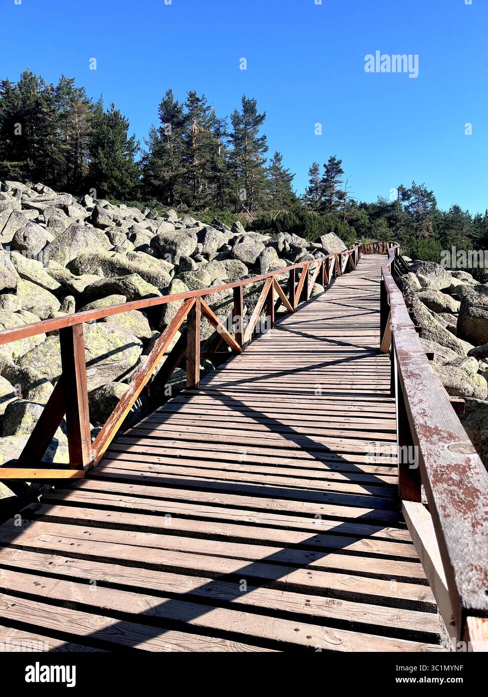 Passerelle en bois au-dessus d'une rivière de pierre dans la montagne Vitosha, Bulgarie, caractéristique géomorphologique de l'éboulis siliceux en Europe de l'est, Balkans - Image de stock capturée avec un smartphone