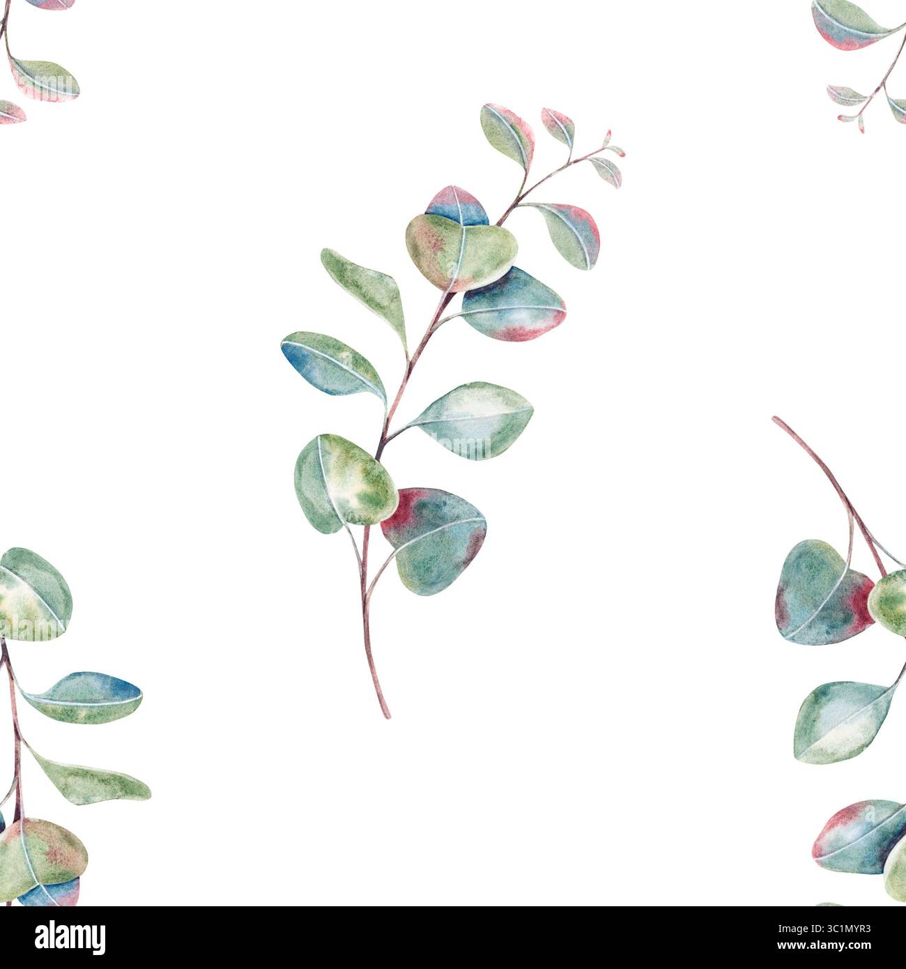 Motif d'eucalyptus sans couture, brindilles avec des feuilles, branches d'aquarelle dessinées à la main isolées sur blanc. Motif botanique pour l'emballage, l'impression Banque D'Images