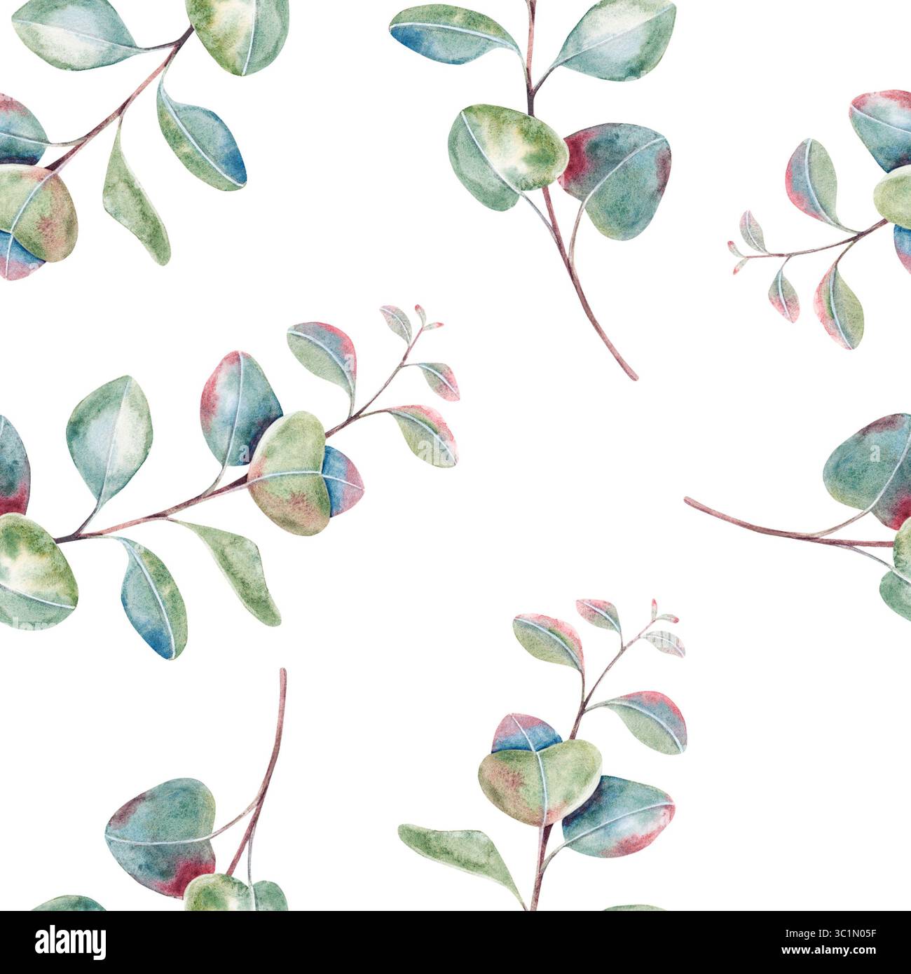 Motif d'eucalyptus sans couture, brindilles avec des feuilles, branches d'aquarelle dessinées à la main isolées sur blanc. Motif botanique pour l'emballage, l'impression Banque D'Images