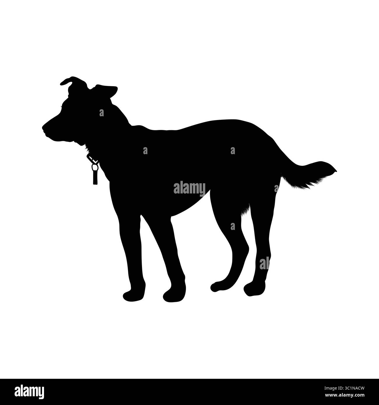 Silhouette de chien debout portant le collier Illustration de Vecteur