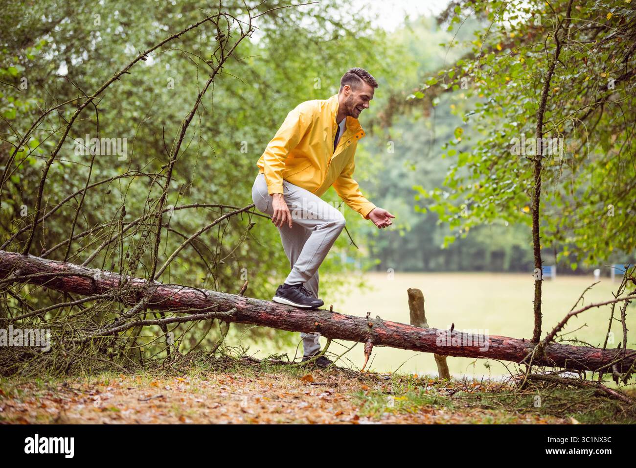 Homme portant une veste de pluie jaune vif marchant sur le tronc de pin tombé à la lisière de la forêt Banque D'Images
