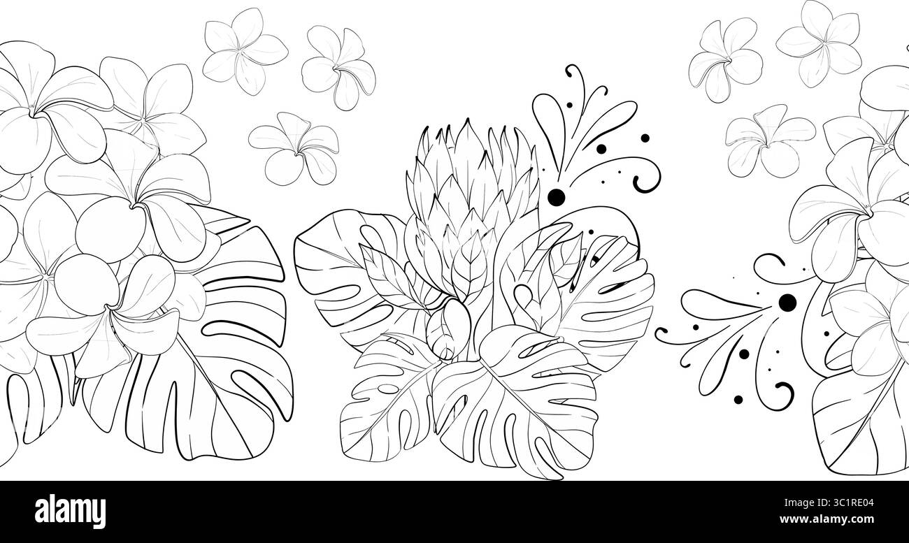 Vector Seamless bordure d'été, motif. Bouquets de fleurs tropicales - ornement protéas et plumeria. Graphique dessiné à la main. Silhouette de circuit noir Illustration de Vecteur