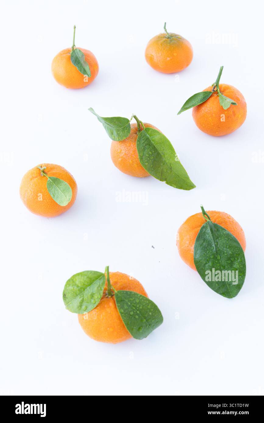 Photo studio de mandarines fraîches avec des feuilles vertes attachées, disposées en grappe propre sur blanc - agrumes lumineux idéal pour la saison, la nourriture, ou la santé-R. Banque D'Images
