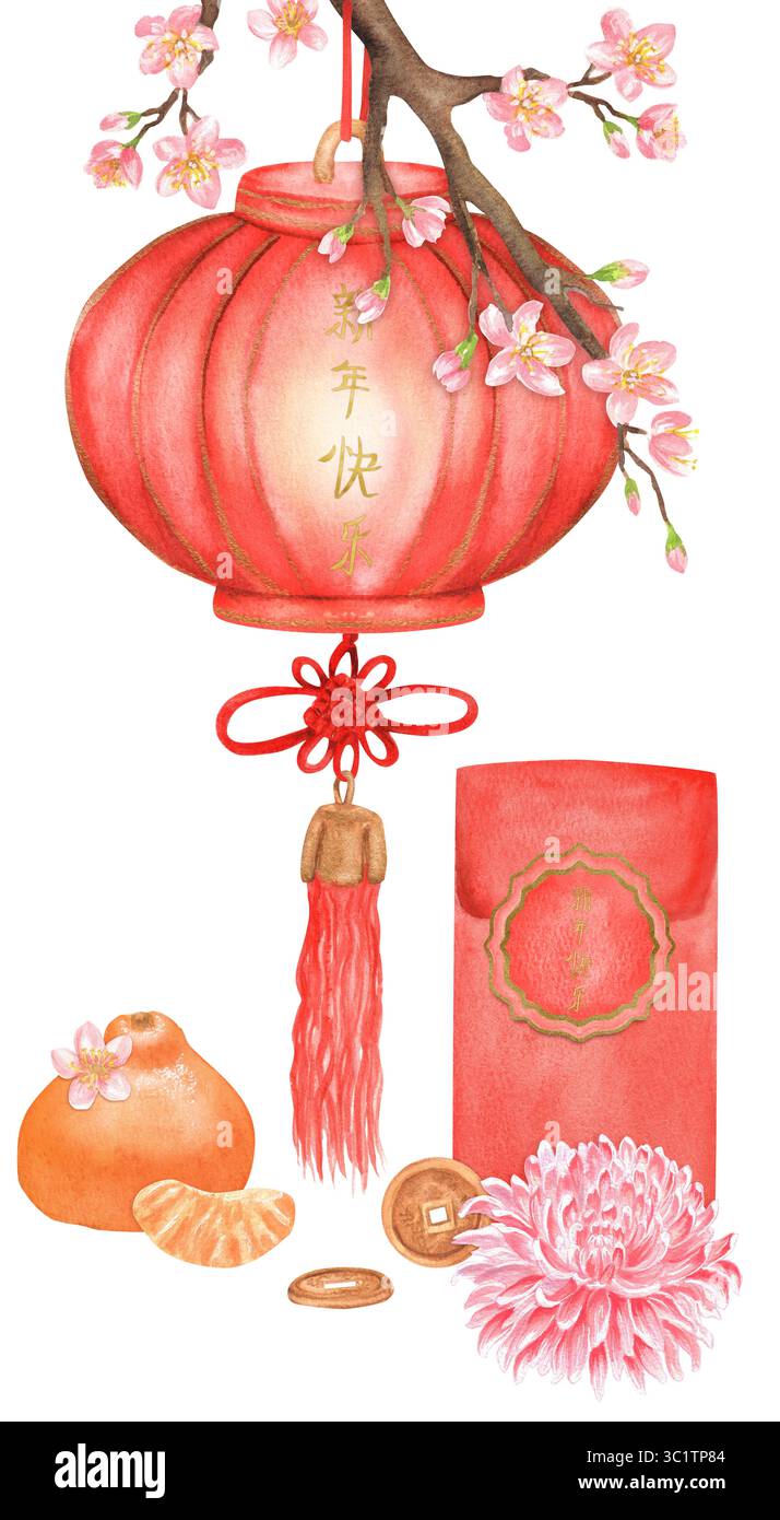 Lanterne en papier aquarelle sur branche de cerisier et enveloppe rouge, mandarine, chrysanthème rose et pièces de monnaie chinoises. Clipart du nouvel an chinois. Dessiné à la main Banque D'Images